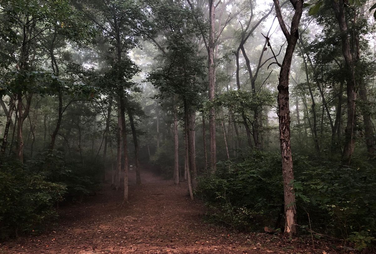 Hole 1 on a foggy morning.