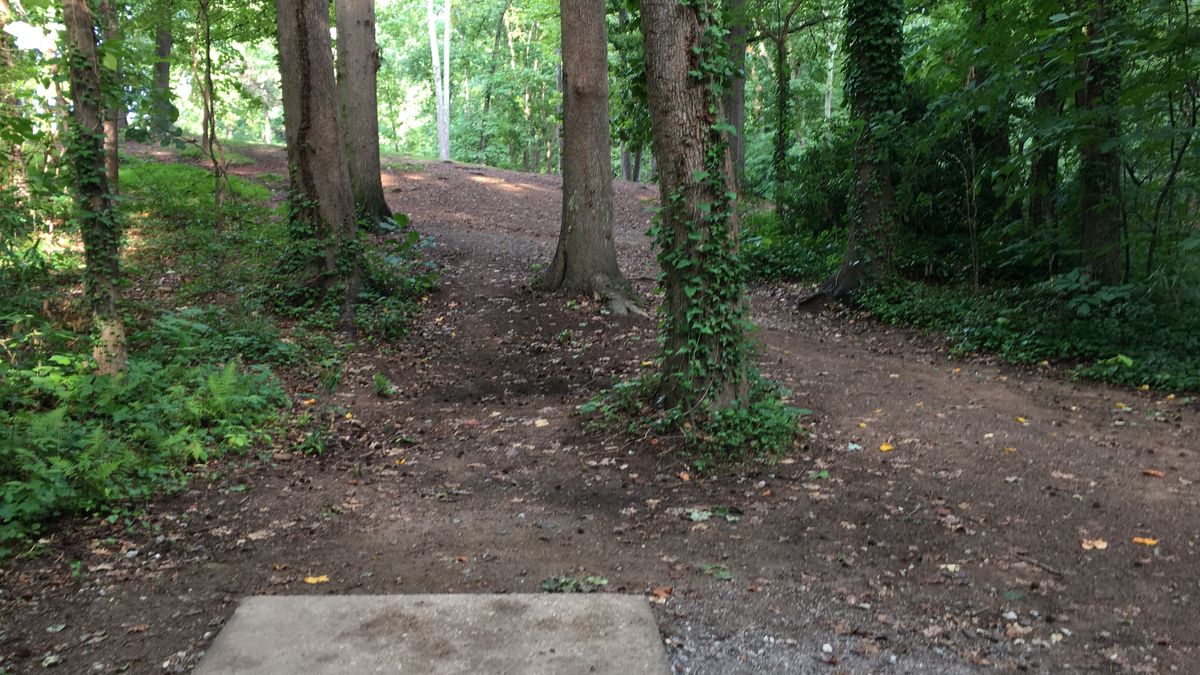 Hole 6