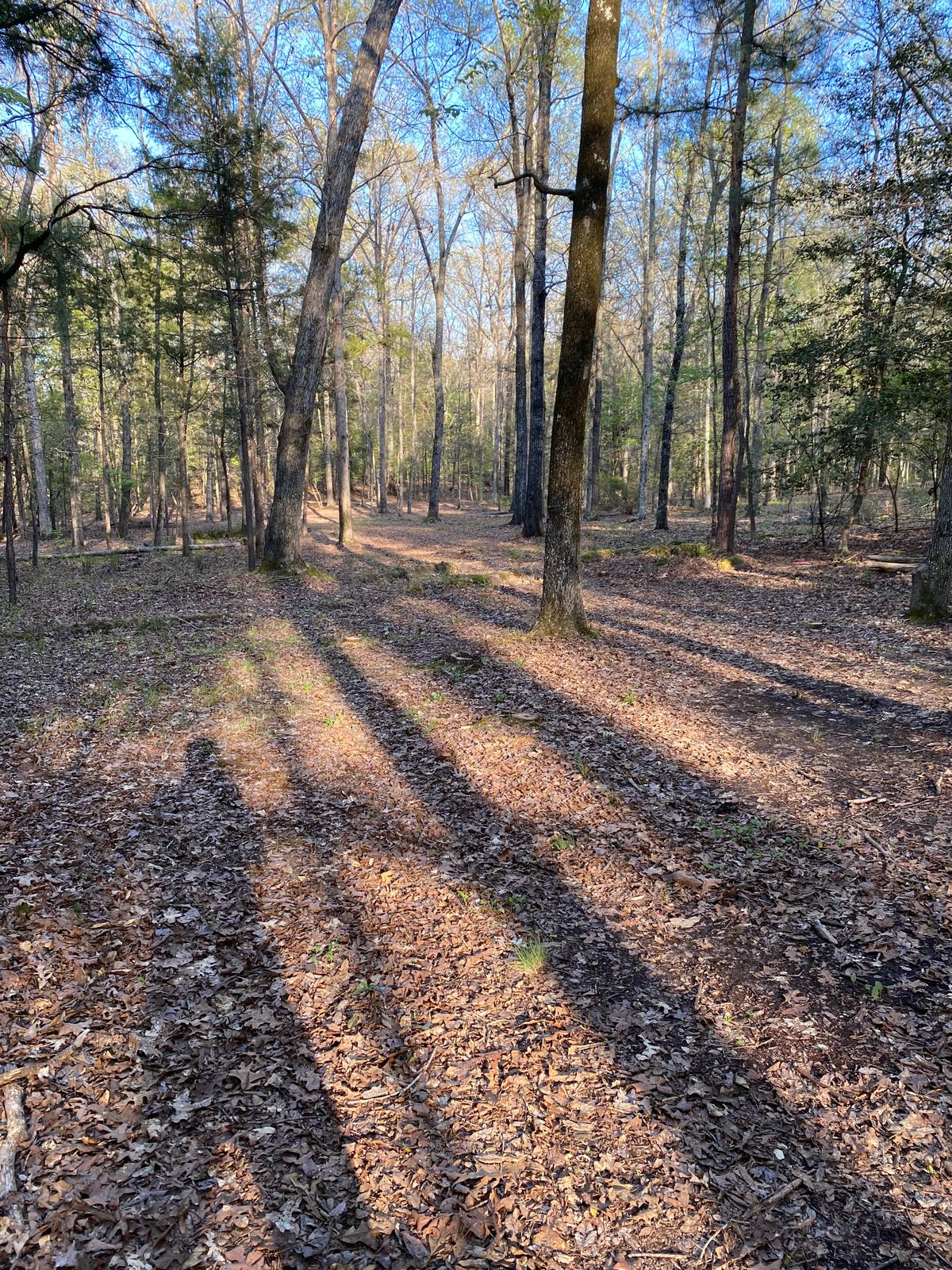 Hole 7 First Half Of The Fairway