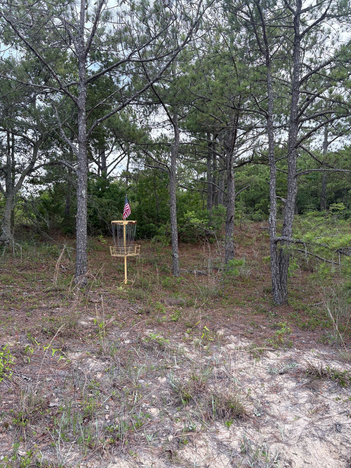 Hole 7 approach