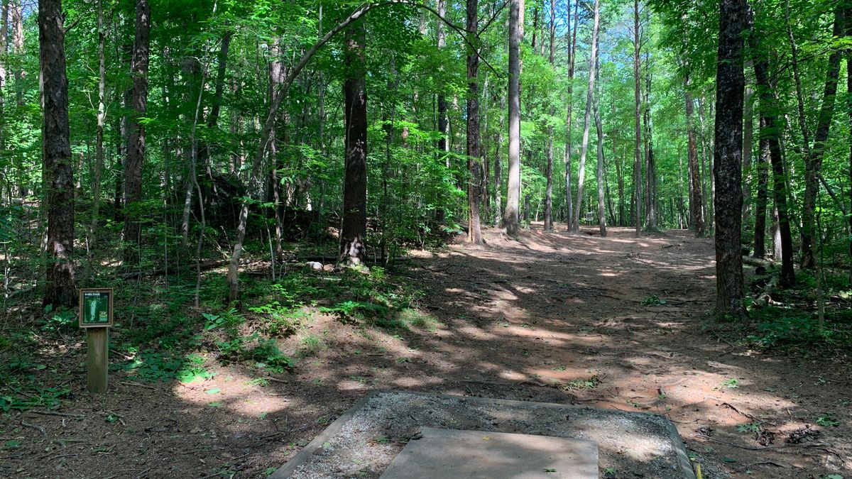 Hole 12