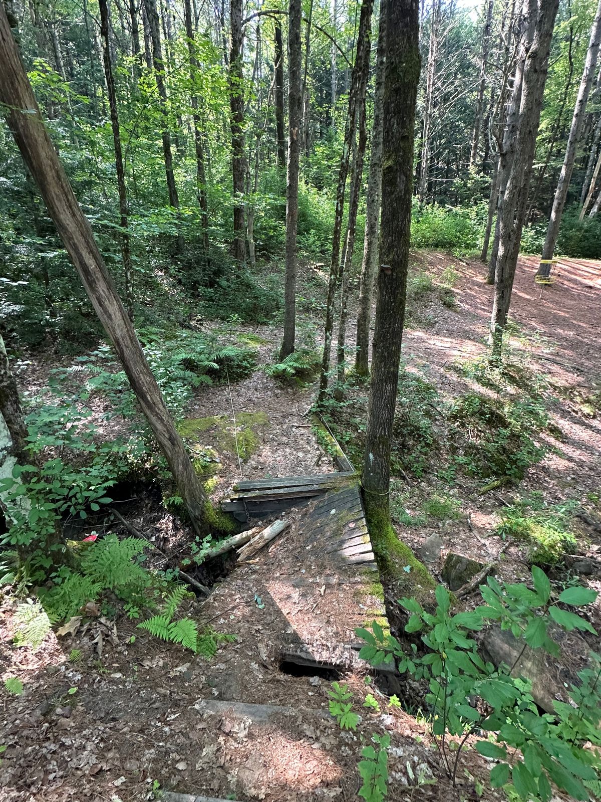 Bridge to 18 basket