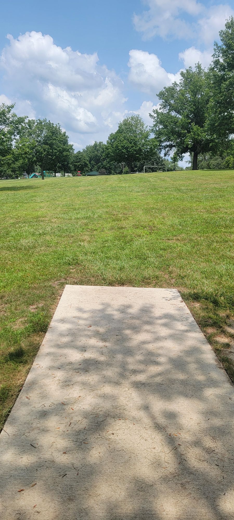 Hole 8's tee pad view. Slightly up hill shot.