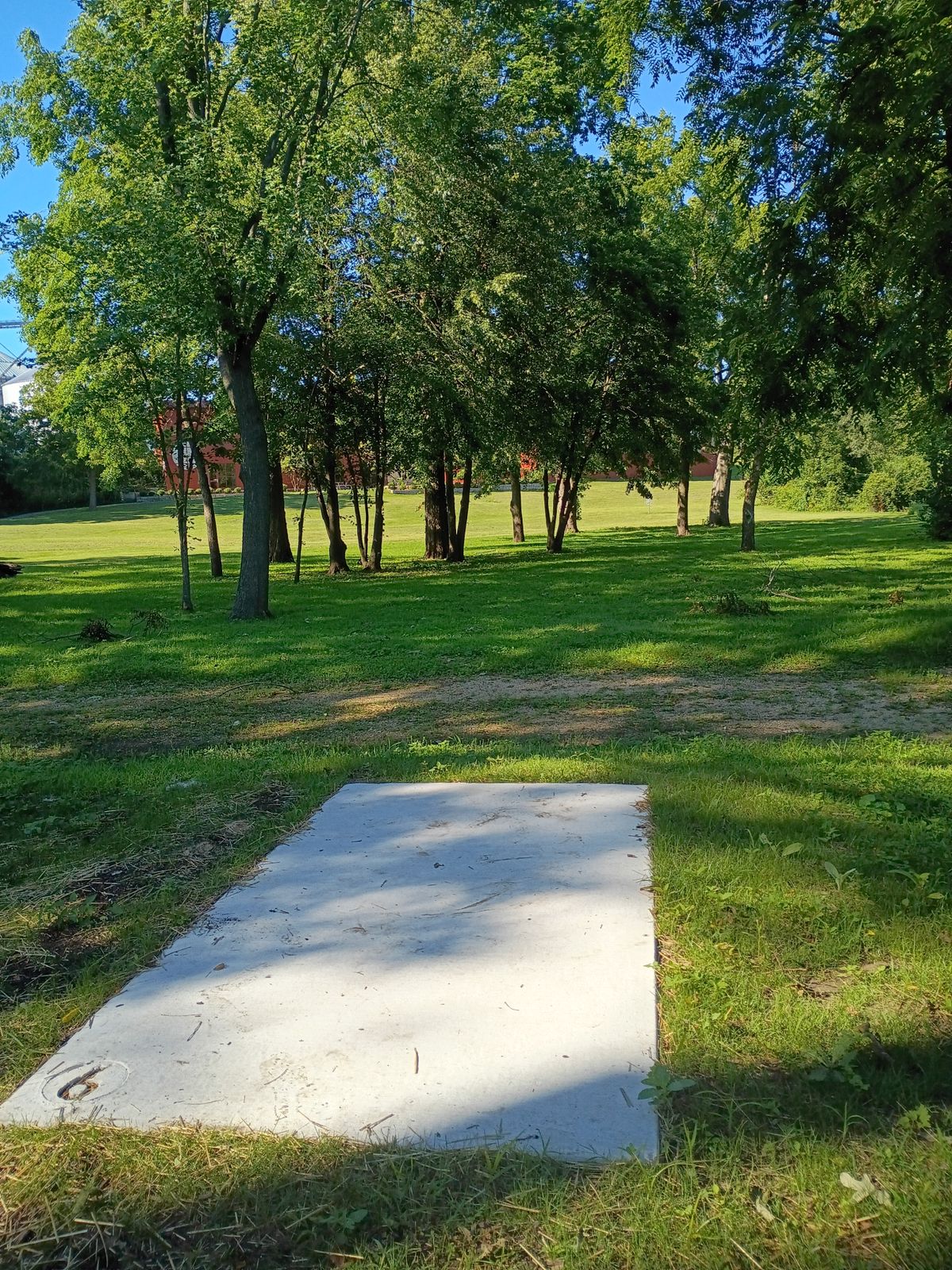 Tee 6