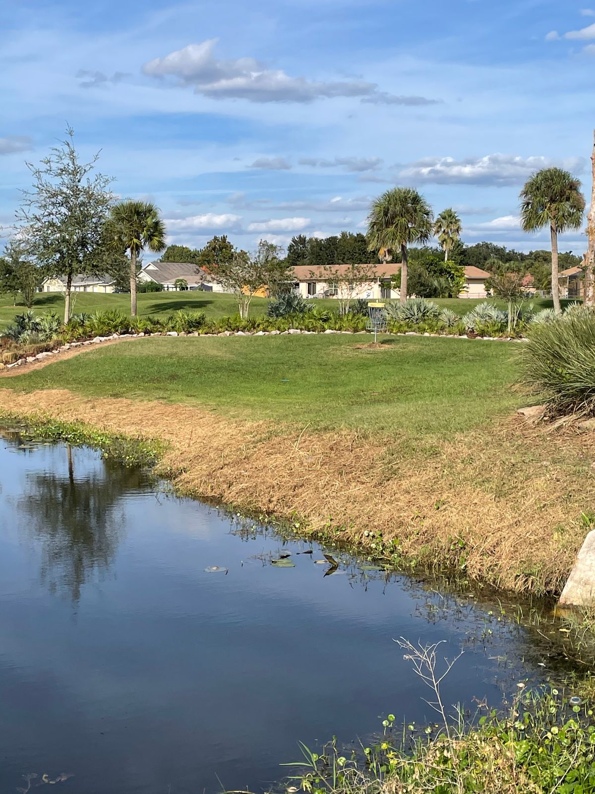 Hole 5
