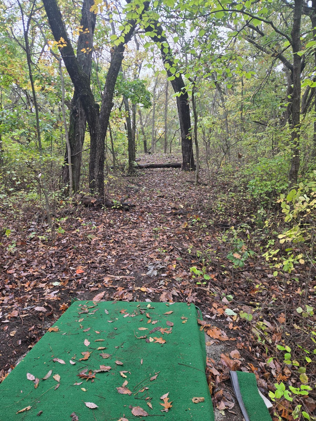 Hole 6 tee