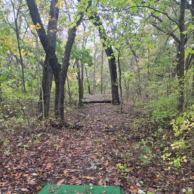 Hole 6 tee