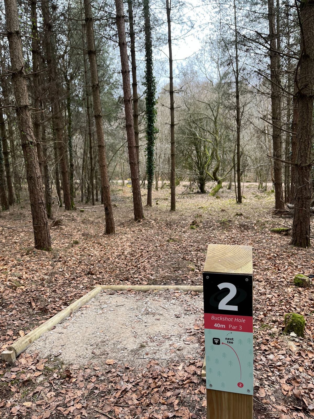 Hole 2 short