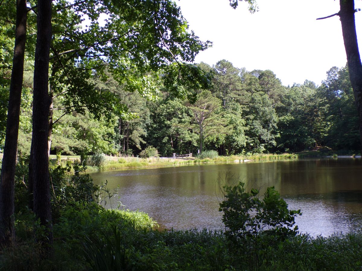A view of the shared basket of 13 and 18 from 18's tee area.