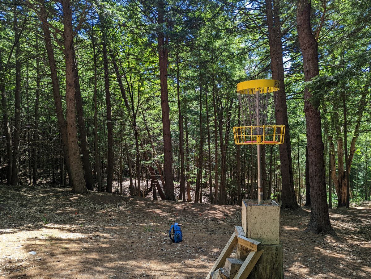 Elevated basket