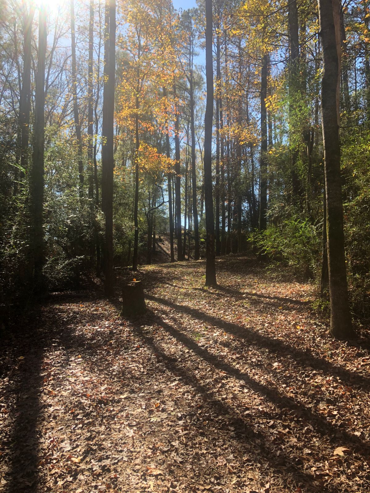 Hole 6