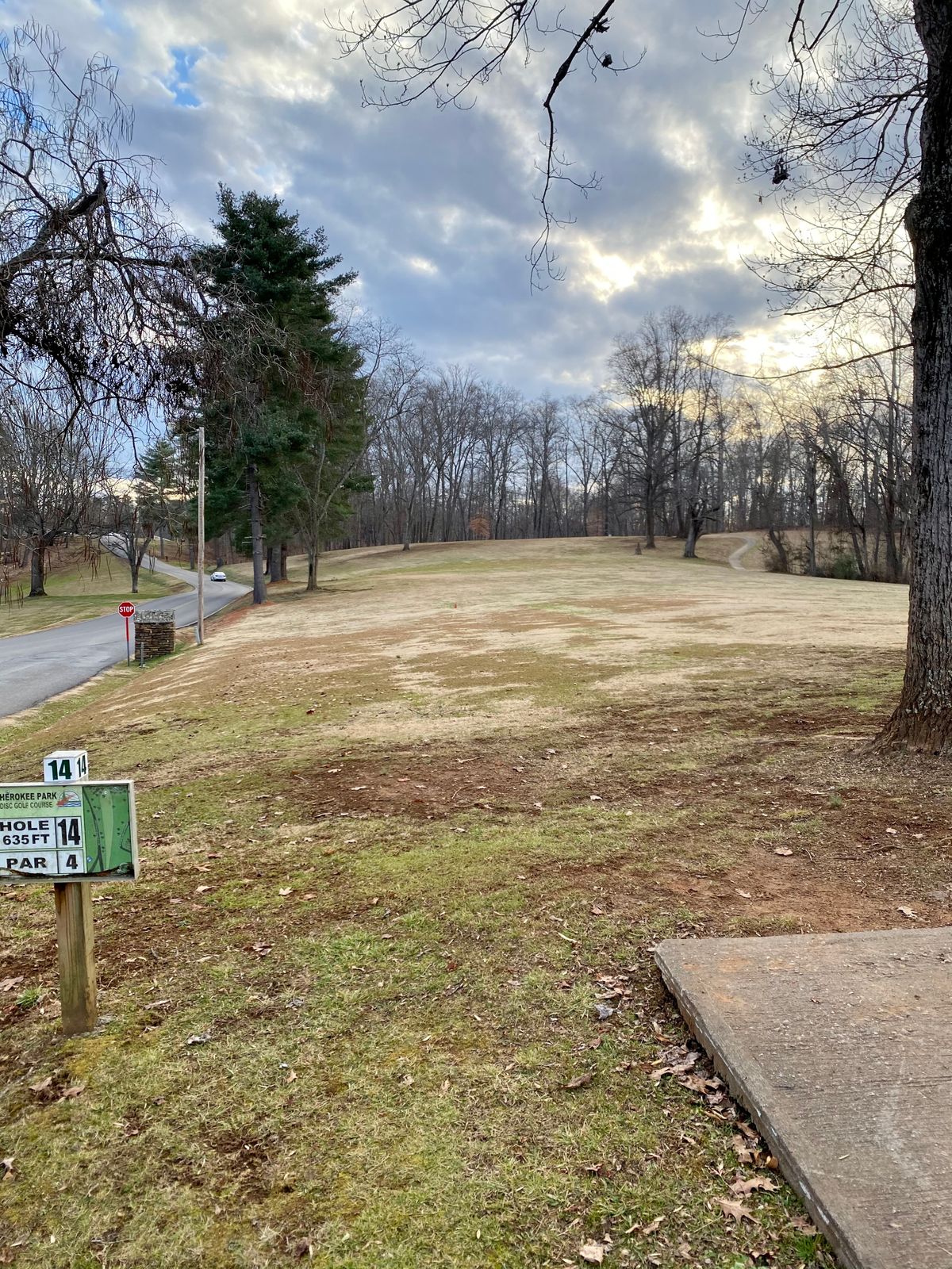 Hole 14 tee