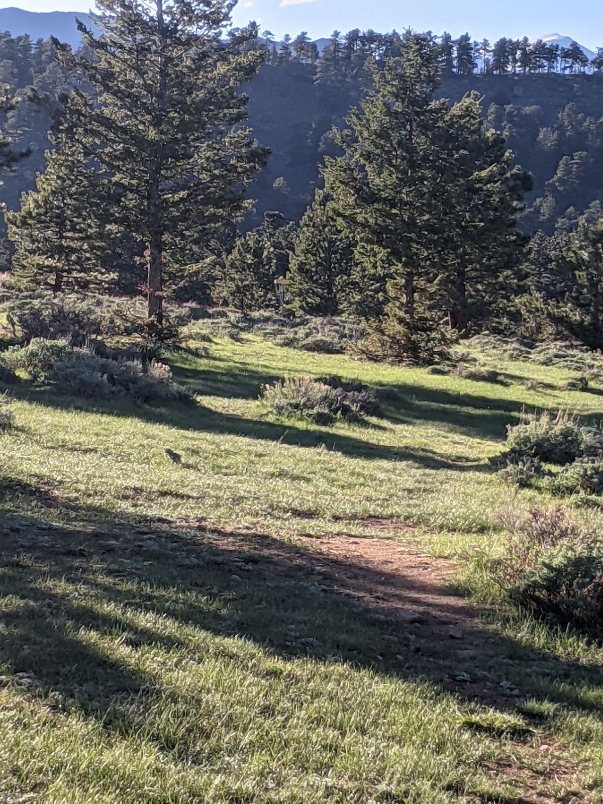 Hole 4