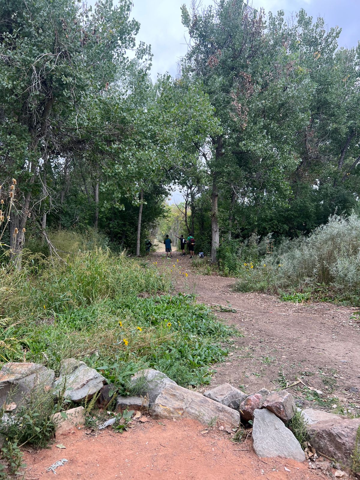 Hole 10 shoot the gap