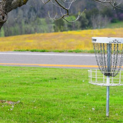 Basket for Hole #9