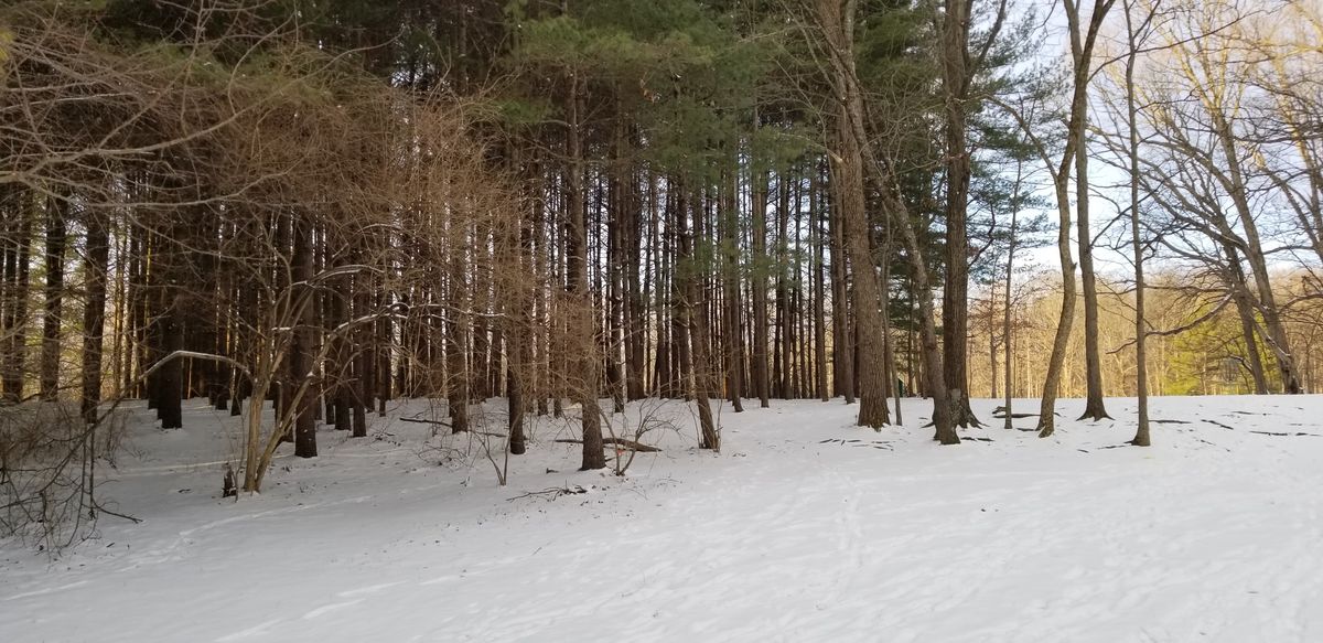 Hole 14