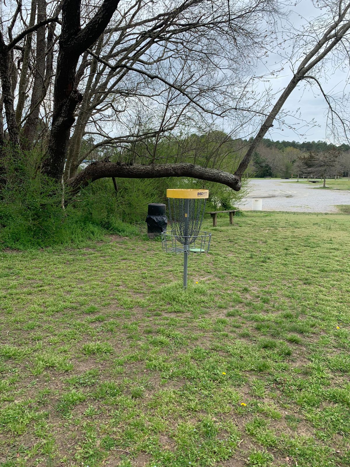 Basket for 18. Right at the edge of the woods.