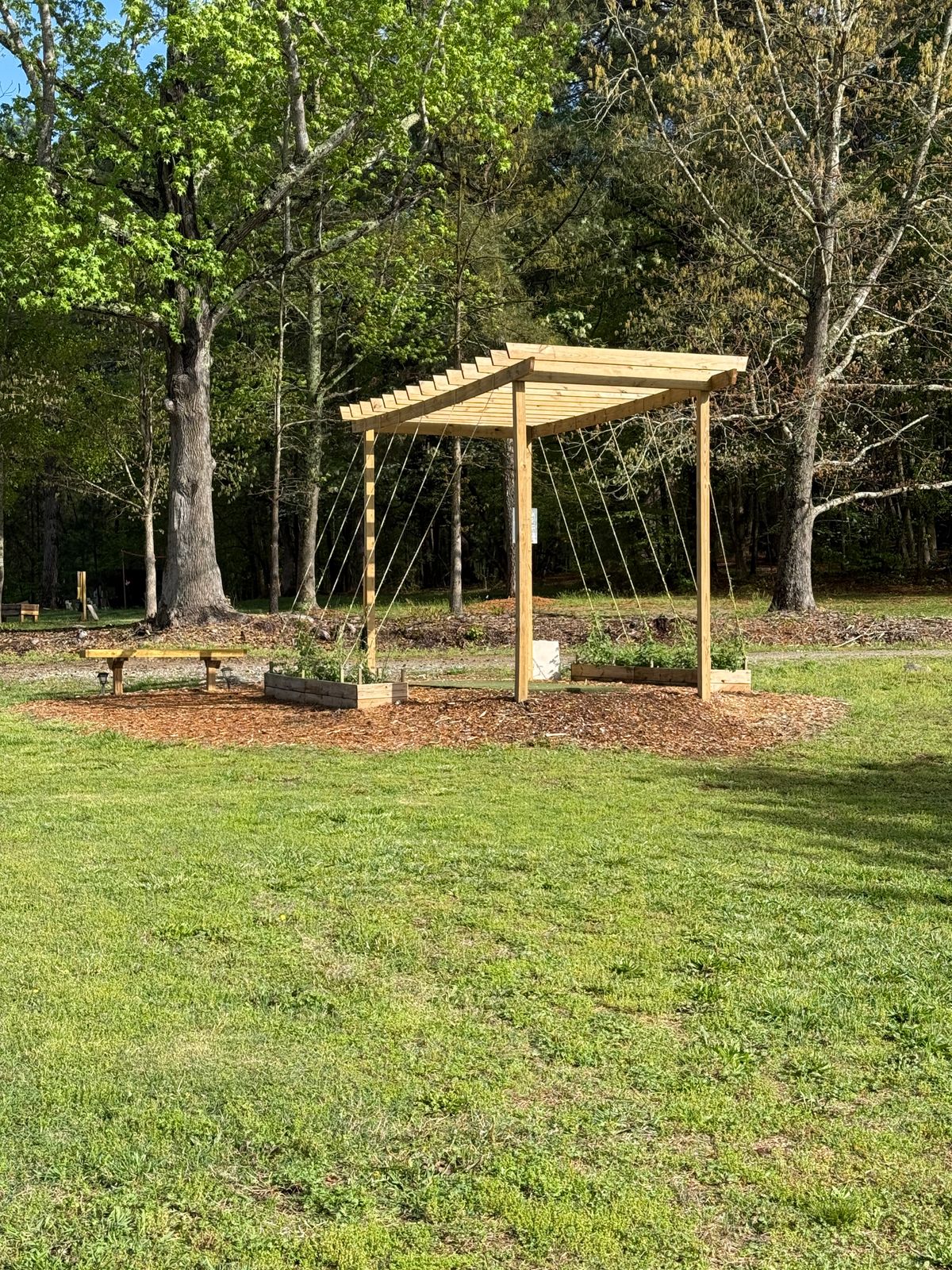 Hole 17 tee pad with hops growing
