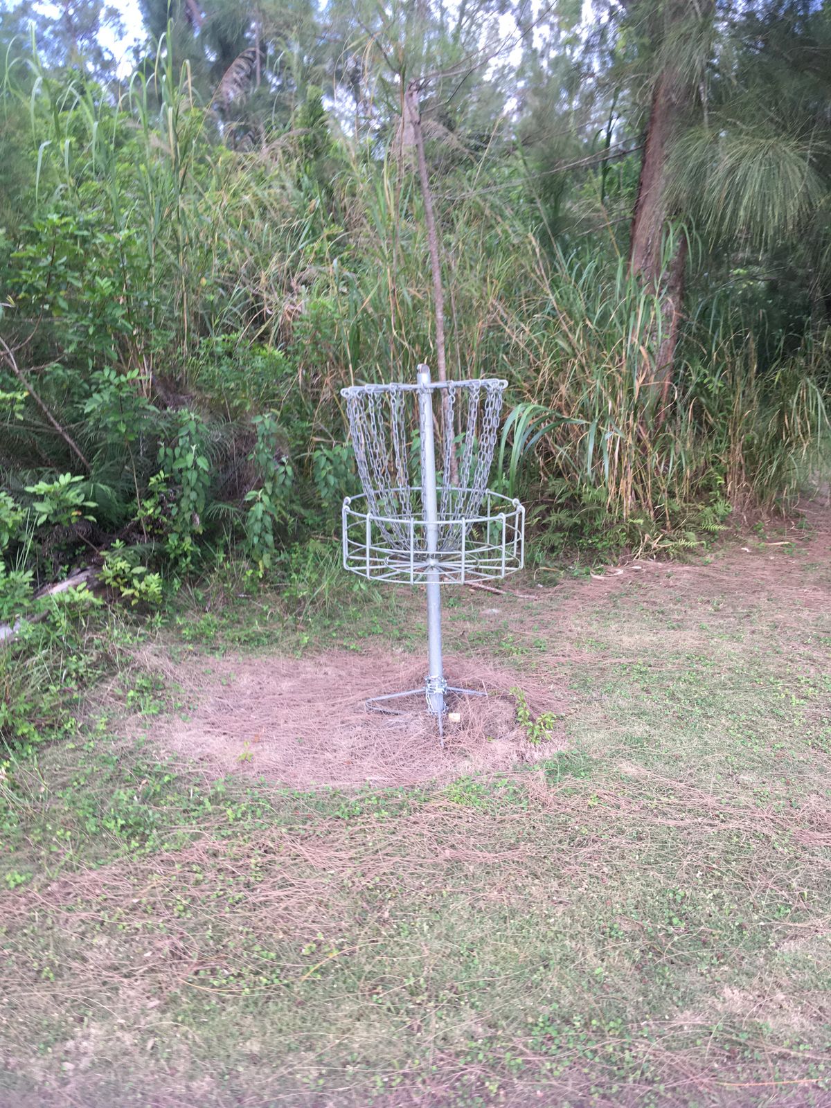 Hole 6