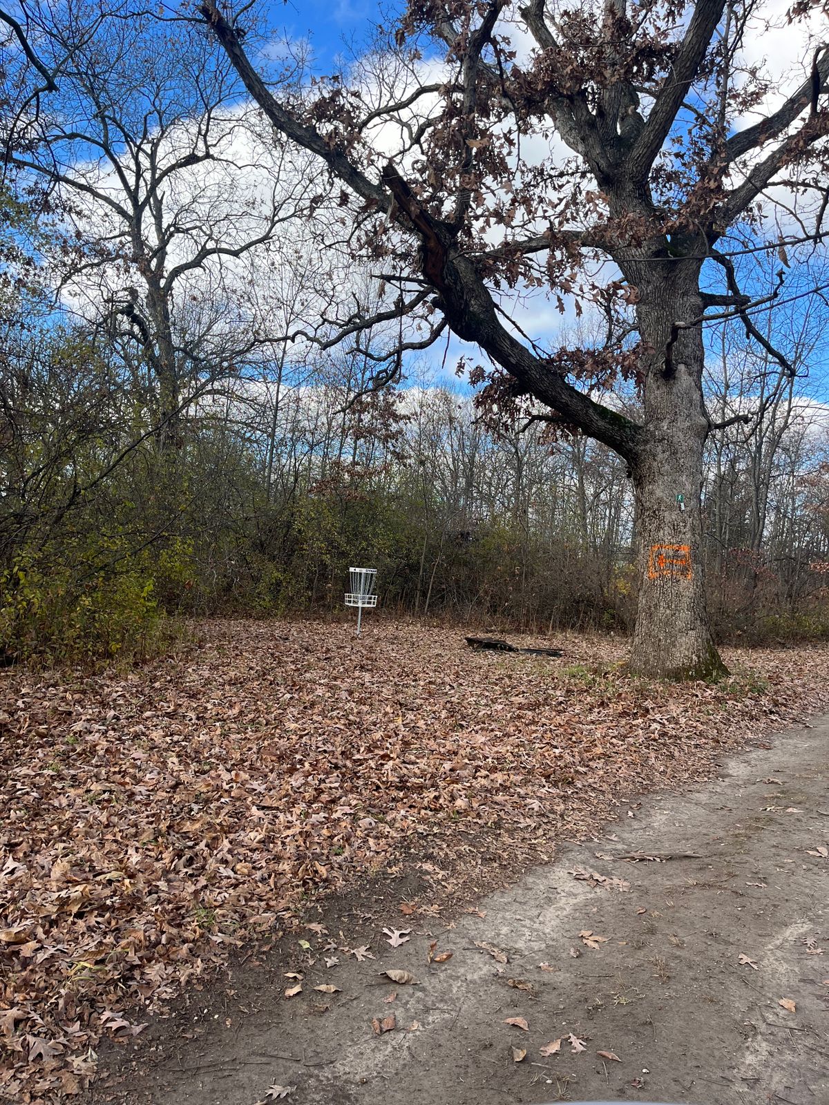 Hole 4 Basket