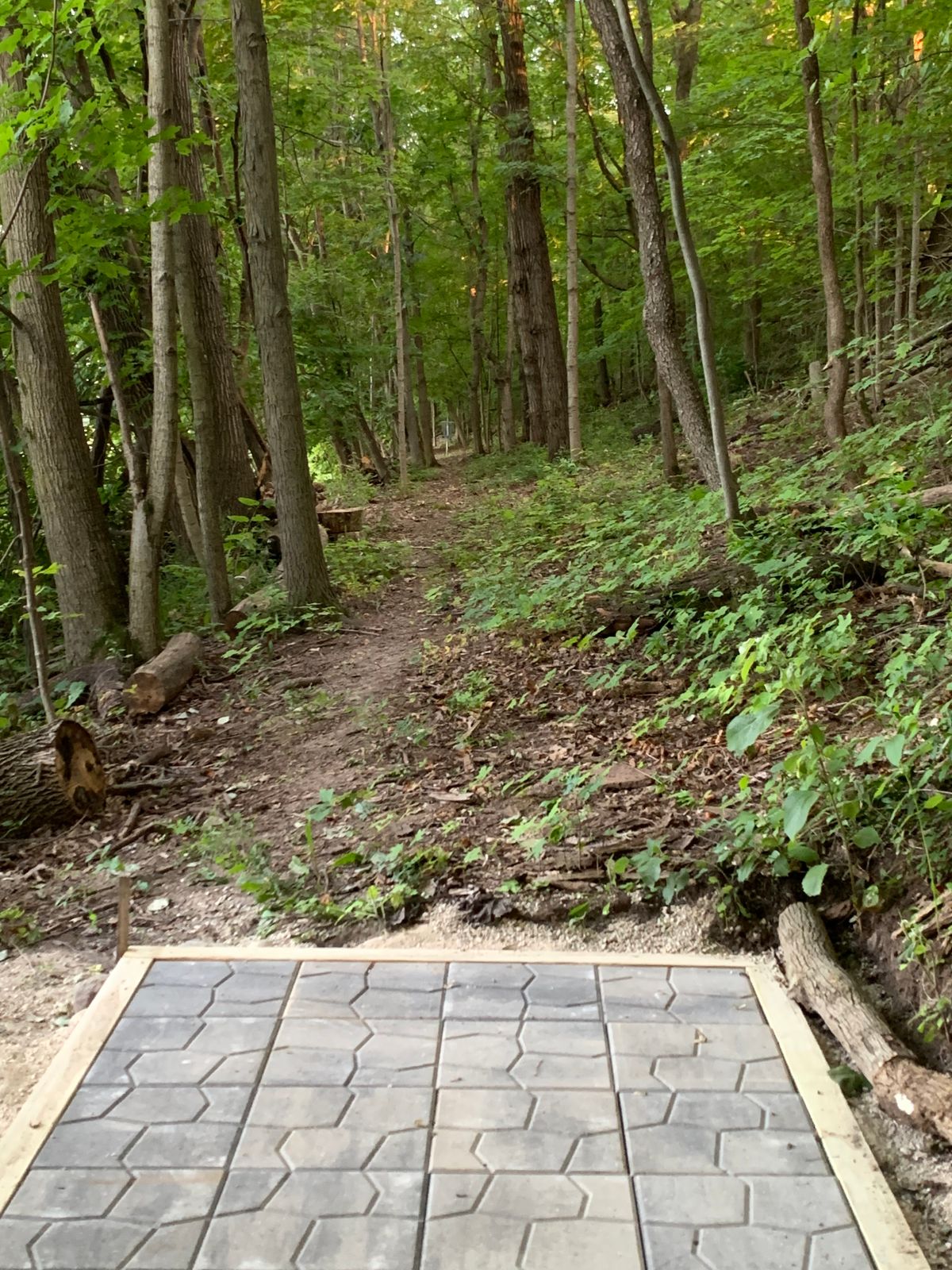 Hole 1