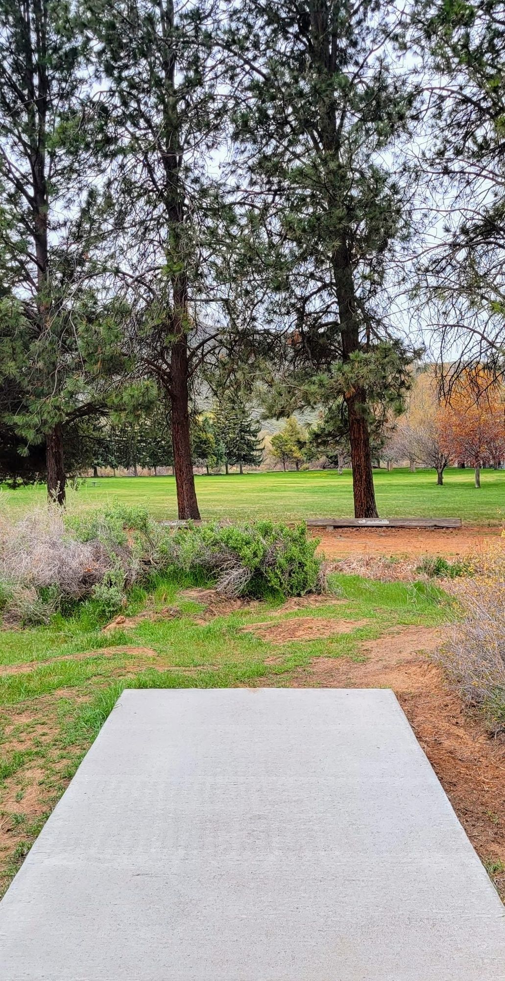 Hole 2 Teepad