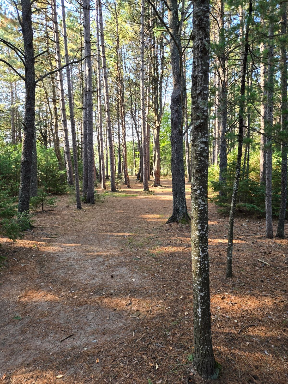 12 Fairway