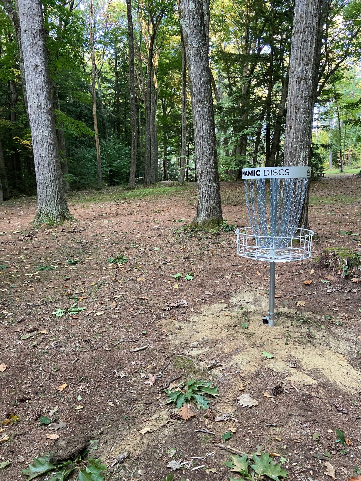 Hole 12