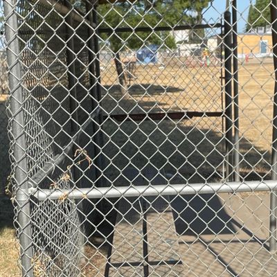 Hole 1 Fairway? Basket behind dugout.