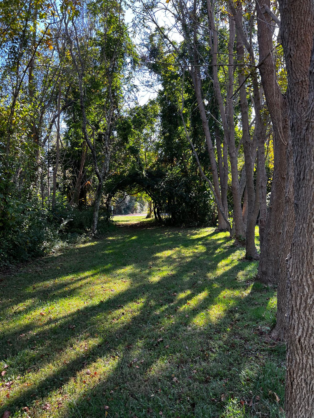 Path from Hole 10 to Hole 11
