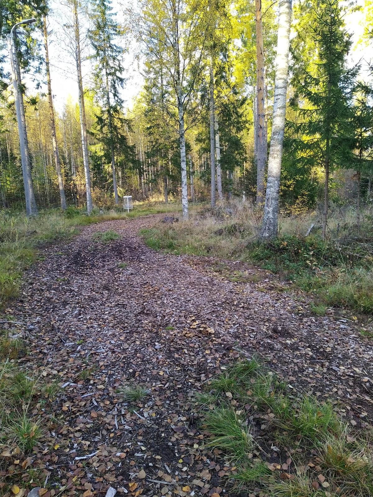 Väylän #1 kori