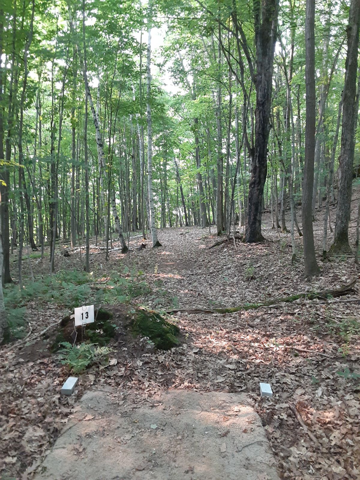 Hole 13 tee
