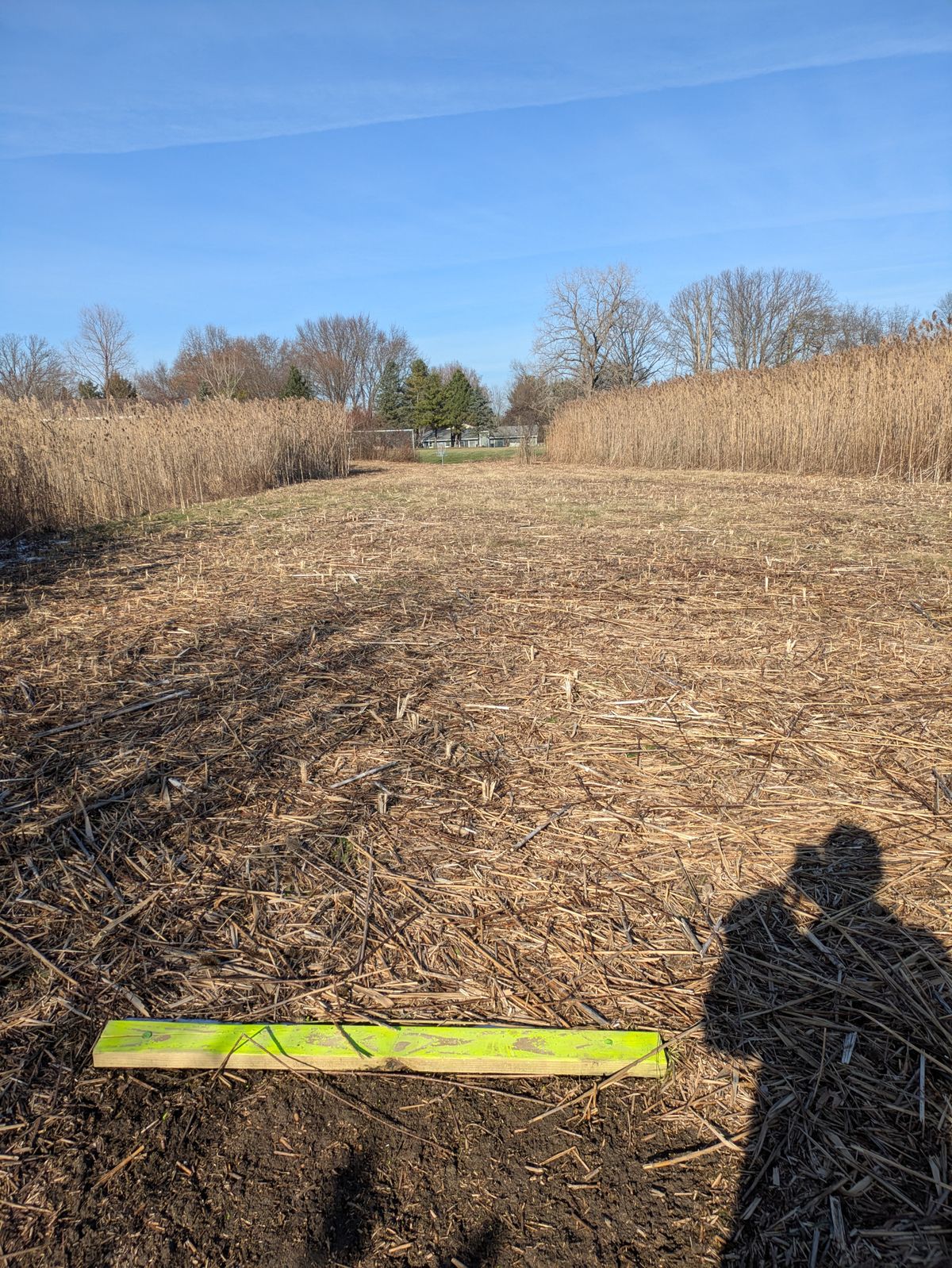 Hole 8 teepad