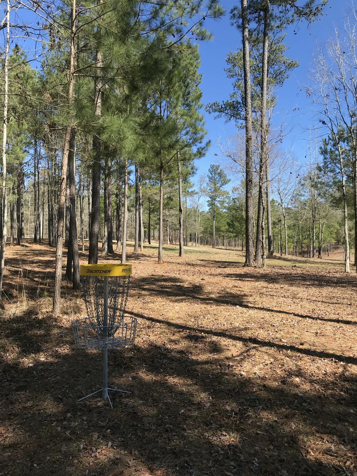 Hole 7 - basket to tee