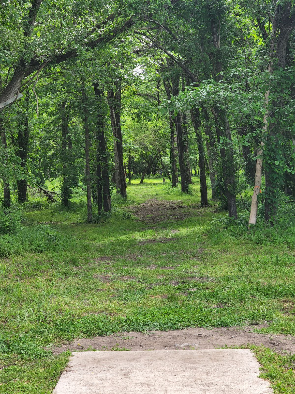 Hole 4 Tee