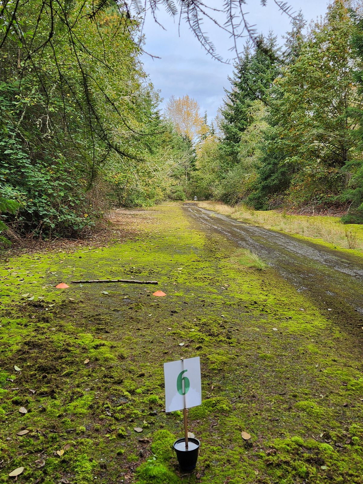 Hole 6