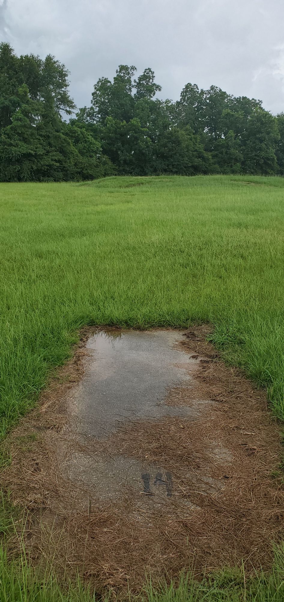 Tee #14, no sign