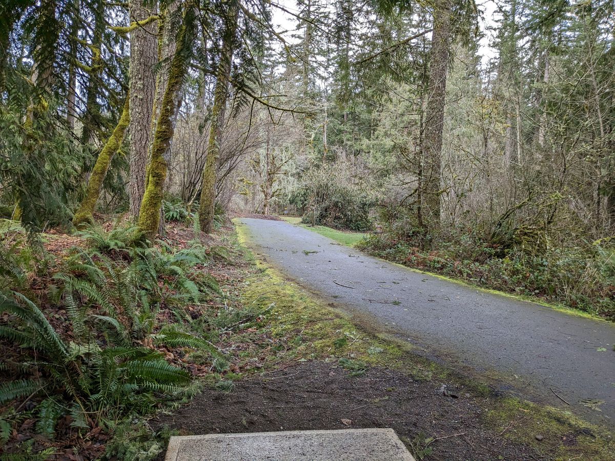 Hole 11