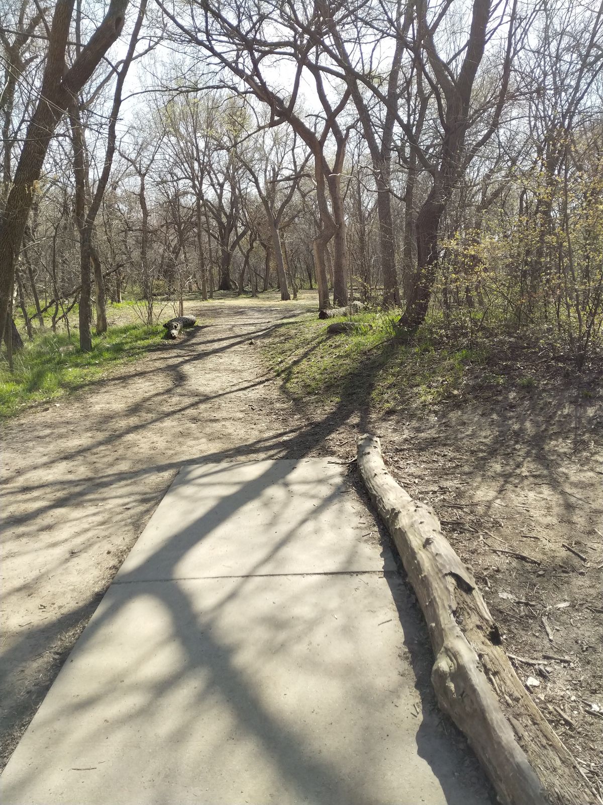 Hole #3 Red Tee (April 2021)