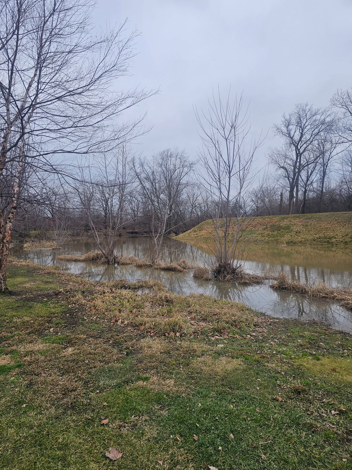 Water is high today! 1/28/24