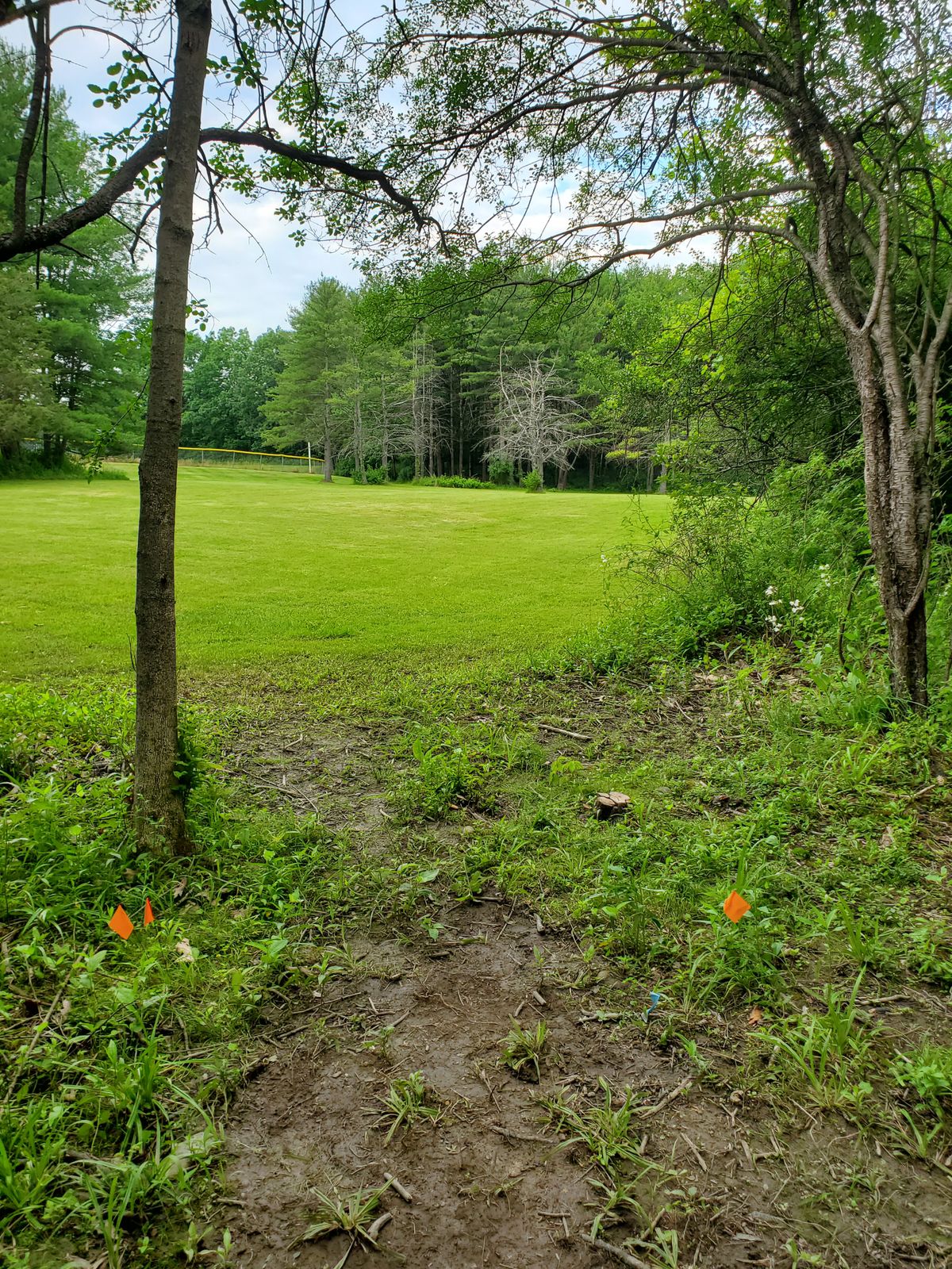 Hole 8 Blue tee.