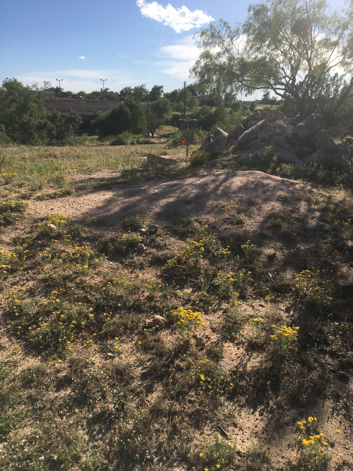 CTP Parkside hole 1 Basket