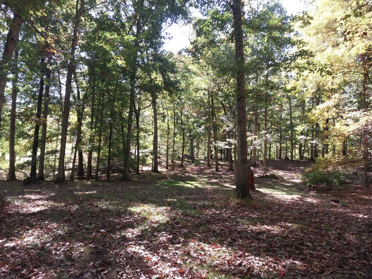 13 fairway