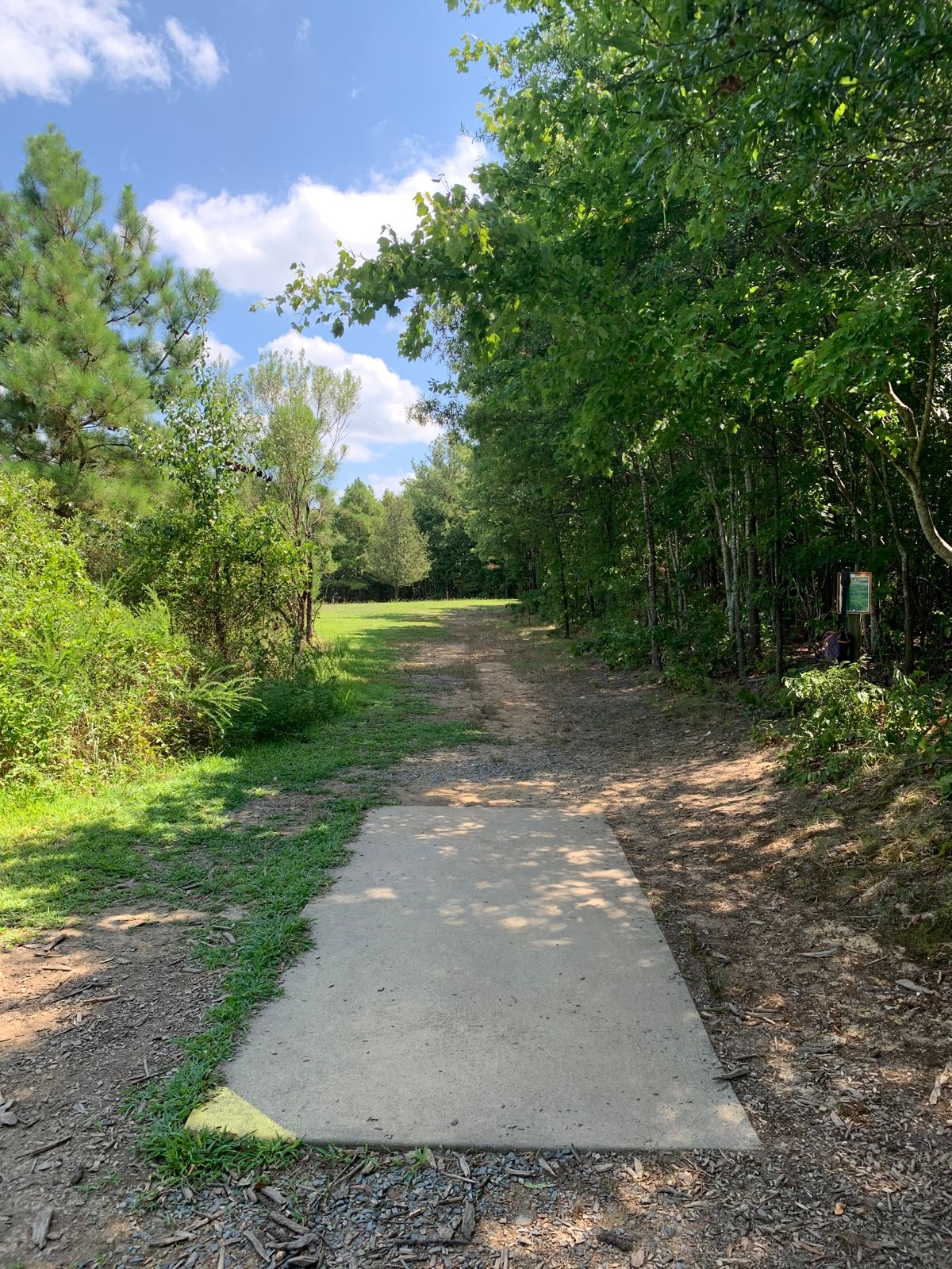Hole 15
