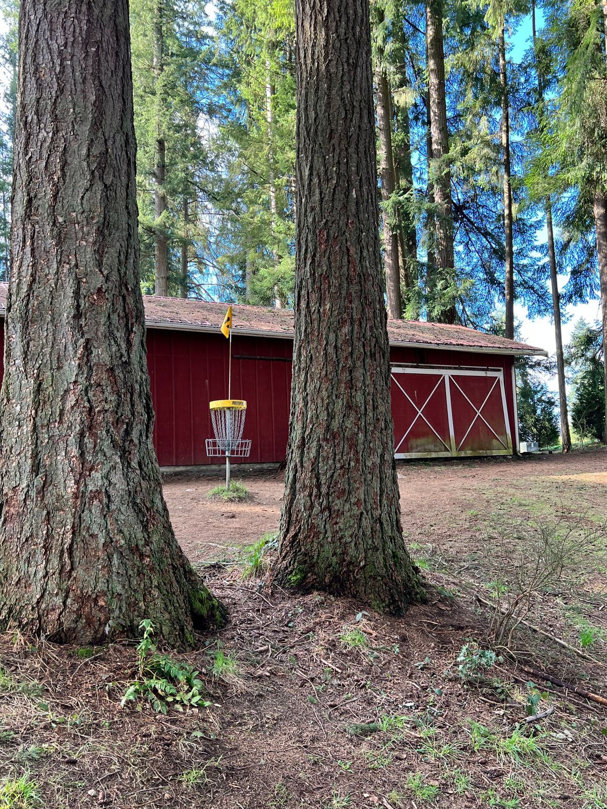 Hole 11 green