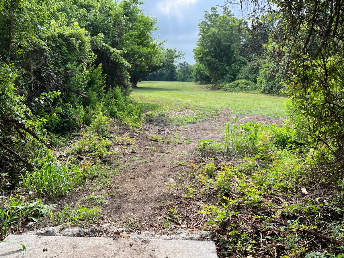 Hole 5 tee