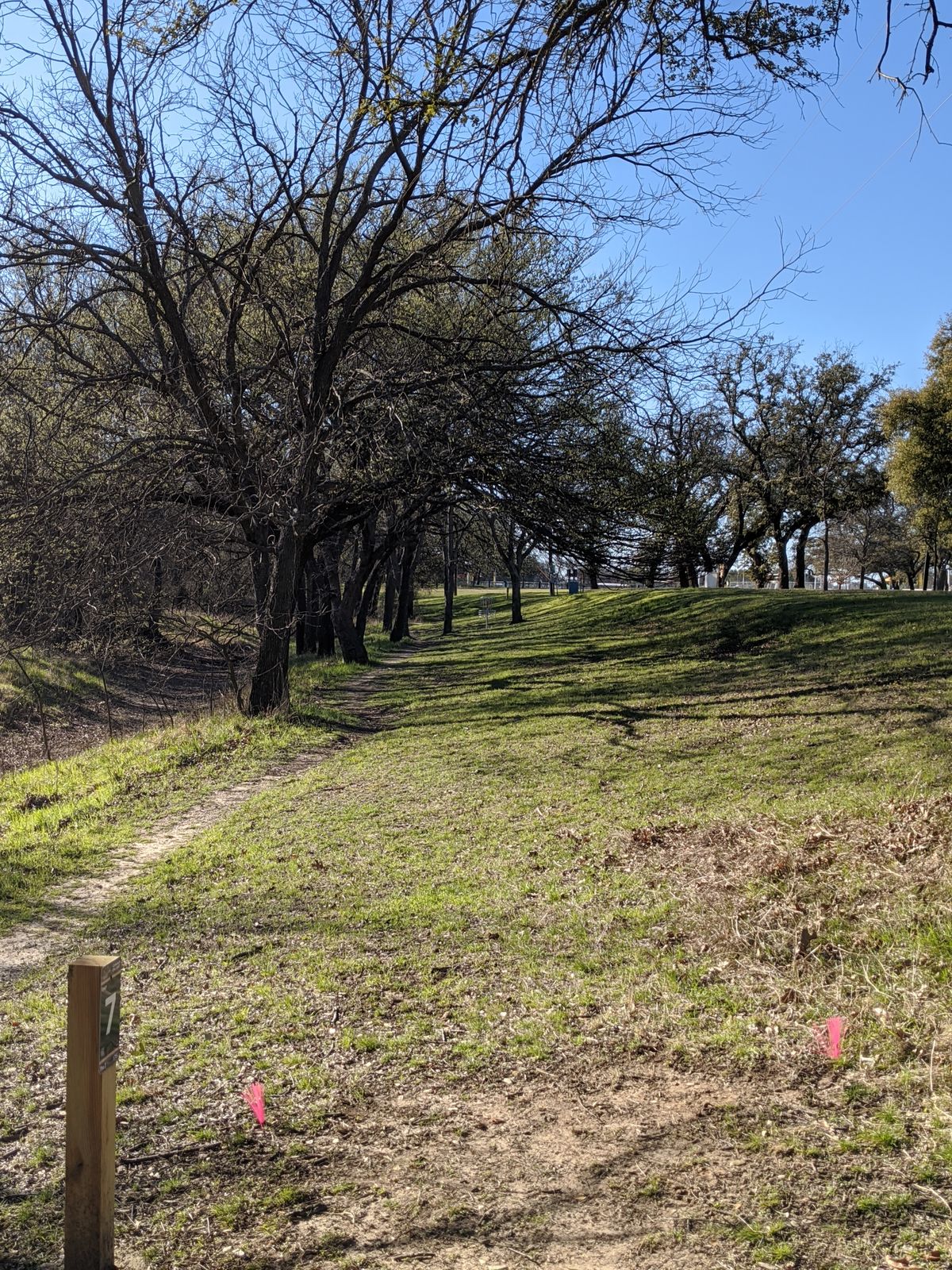 Hole 7 from the tee box