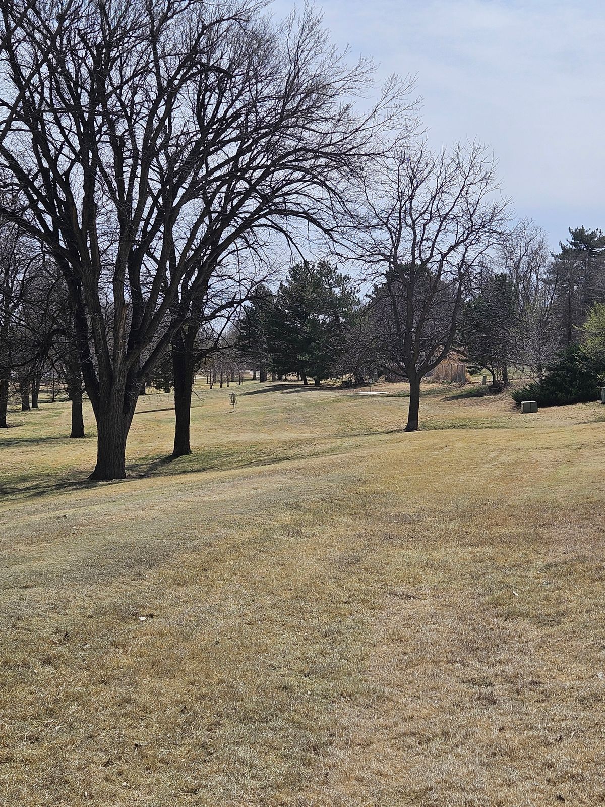 #15 fairway