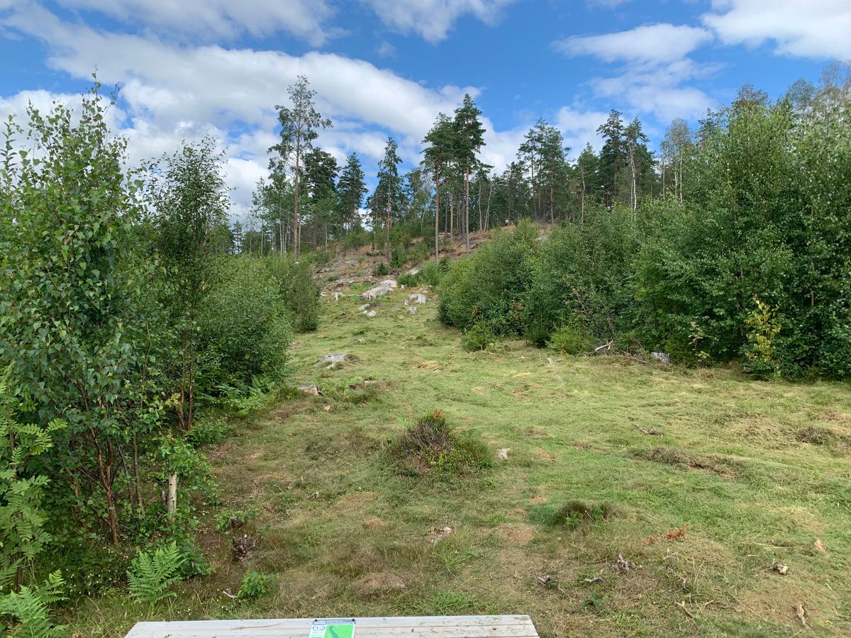 Tee hole 12.