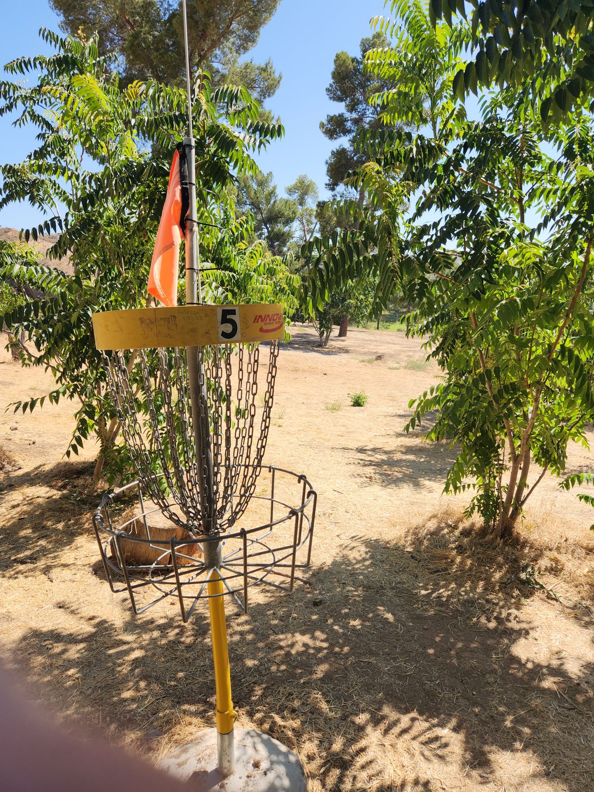 Basket 5 (pov)